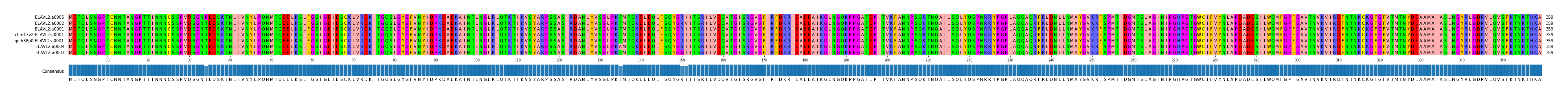 Multiple Alignments (by translate haplotype similarity)