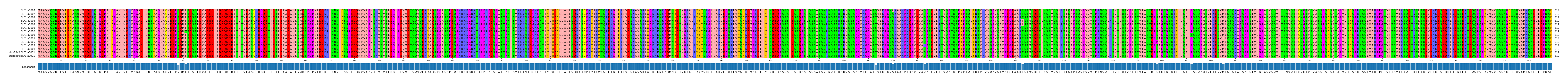 Multiple Alignments (by translate haplotype similarity)