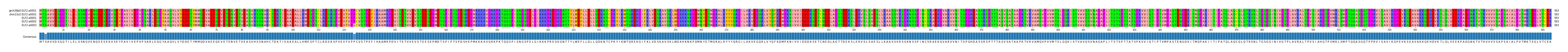 Multiple Alignments (by translate haplotype frequency)
