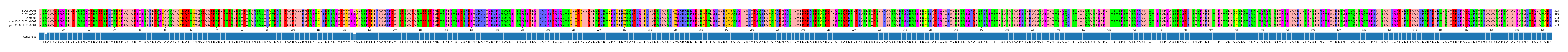 Multiple Alignments (by translate haplotype similarity)