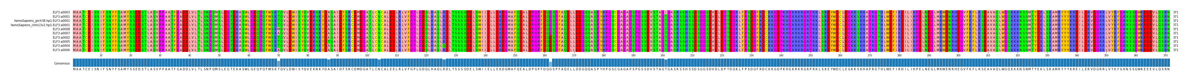 Multiple Alignments (by translate haplotype similarity)