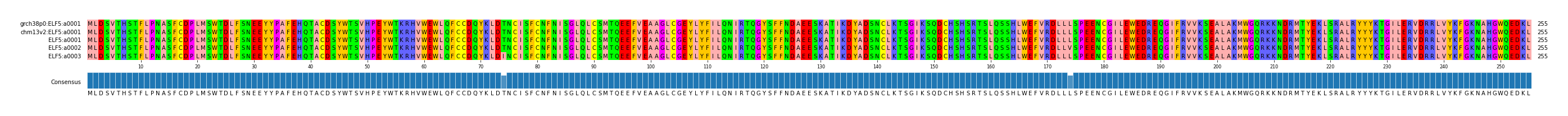 Multiple Alignments (by translate haplotype frequency)