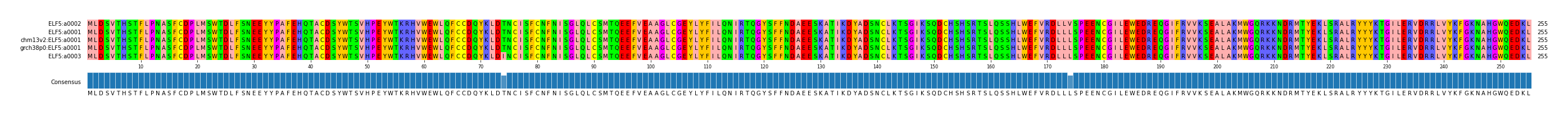 Multiple Alignments (by translate haplotype similarity)
