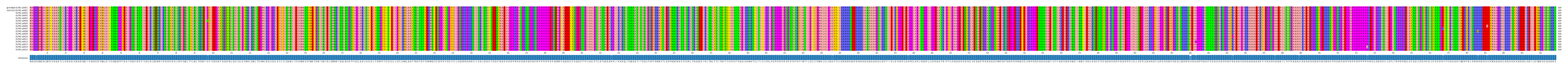 Multiple Alignments (by translate haplotype frequency)