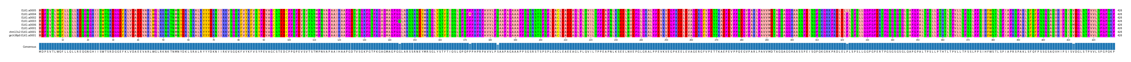 Multiple Alignments (by translate haplotype similarity)