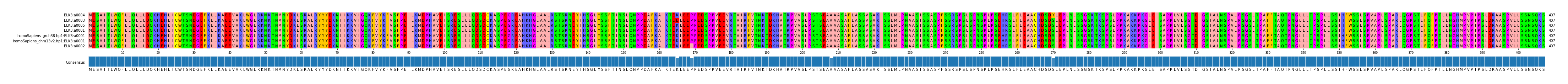 Multiple Alignments (by translate haplotype similarity)