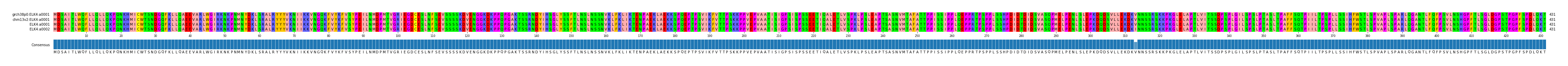 Multiple Alignments (by translate haplotype similarity)