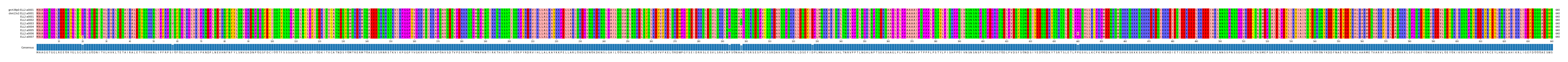 Multiple Alignments (by translate haplotype frequency)