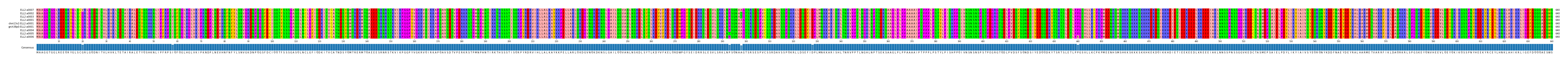Multiple Alignments (by translate haplotype similarity)