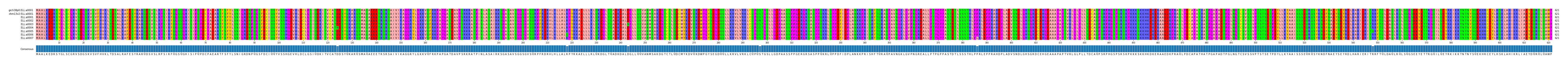 Multiple Alignments (by translate haplotype frequency)