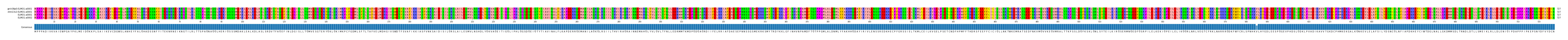 Multiple Alignments (by translate haplotype similarity)