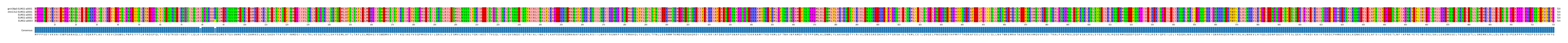 Multiple Alignments (by translate haplotype frequency)