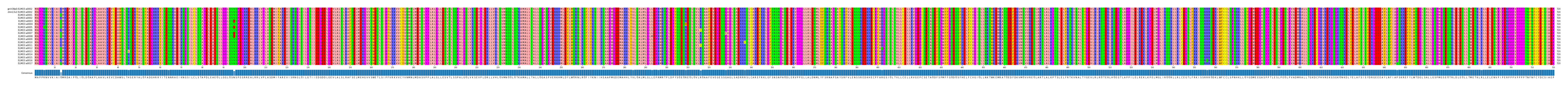 Multiple Alignments (by translate haplotype frequency)