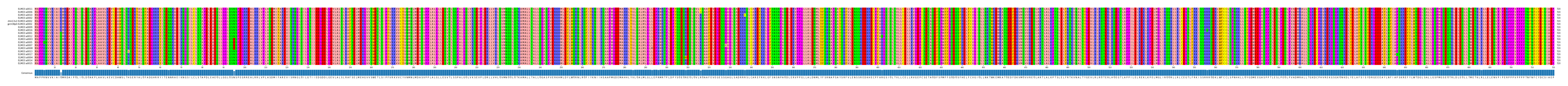 Multiple Alignments (by translate haplotype similarity)