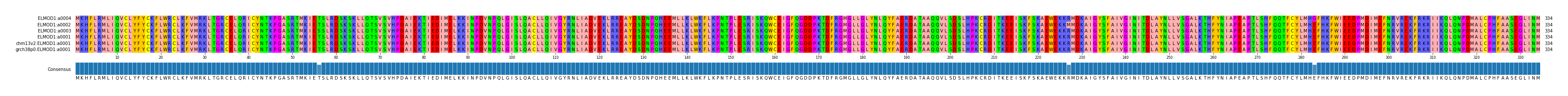 Multiple Alignments (by translate haplotype similarity)