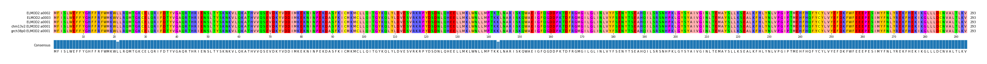 Multiple Alignments (by translate haplotype similarity)