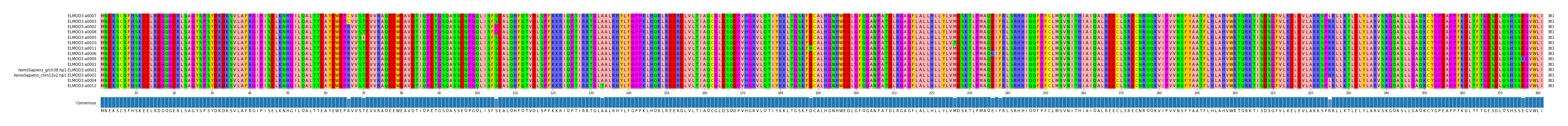 Multiple Alignments (by translate haplotype similarity)