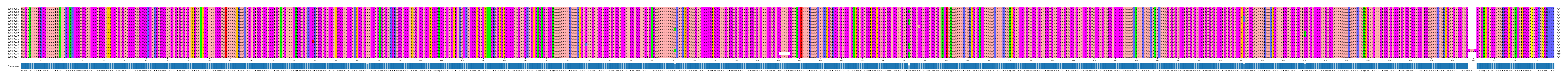 Multiple Alignments (by translate haplotype frequency)