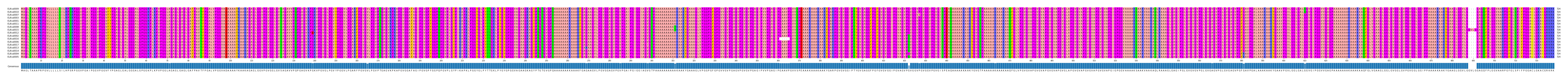 Multiple Alignments (by translate haplotype similarity)