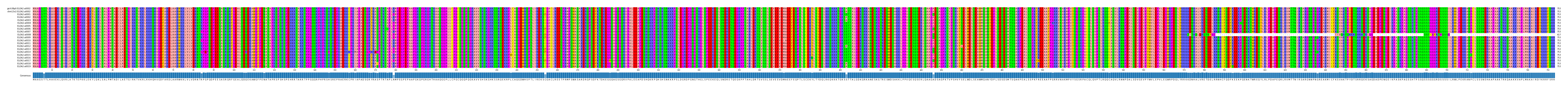 Multiple Alignments (by translate haplotype frequency)