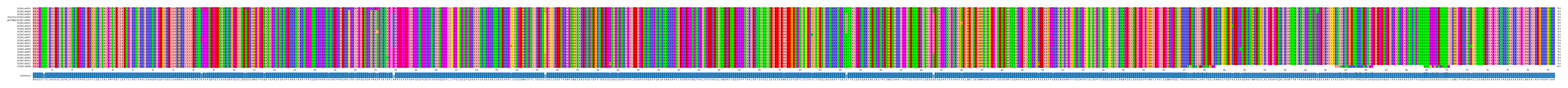 Multiple Alignments (by translate haplotype similarity)