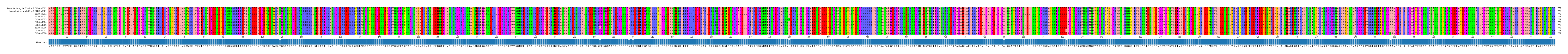 Multiple Alignments (by translate haplotype frequency)