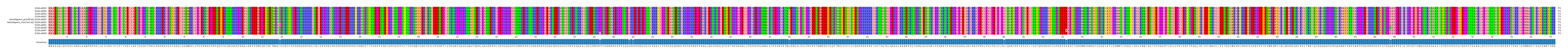 Multiple Alignments (by translate haplotype similarity)