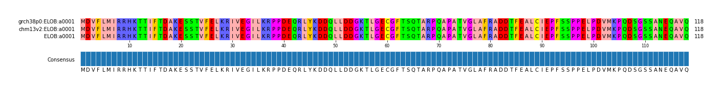 Multiple Alignments (by translate haplotype similarity)