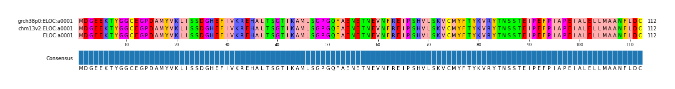 Multiple Alignments (by translate haplotype frequency)