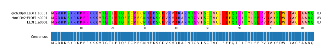 Multiple Alignments (by translate haplotype similarity)