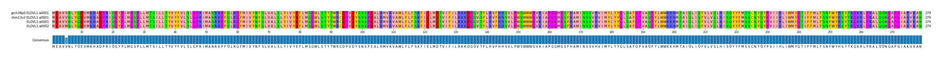 Multiple Alignments (by translate haplotype similarity)