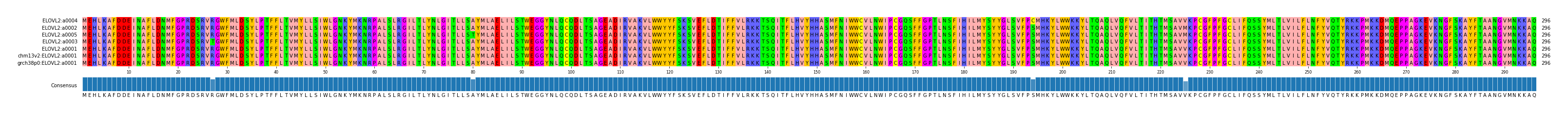 Multiple Alignments (by translate haplotype similarity)