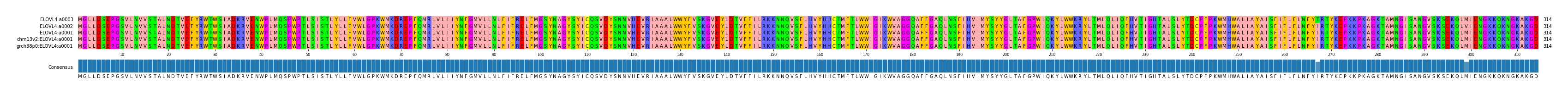 Multiple Alignments (by translate haplotype similarity)
