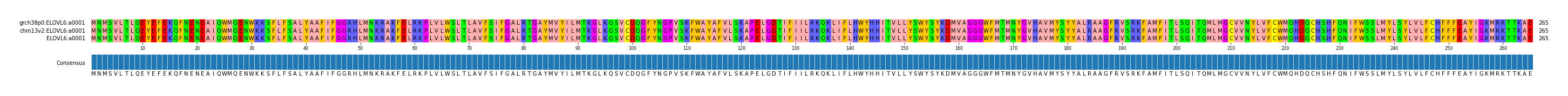 Multiple Alignments (by translate haplotype similarity)