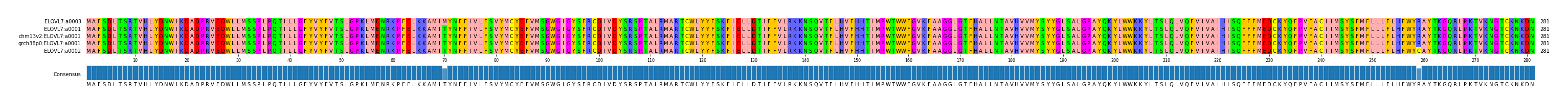 Multiple Alignments (by translate haplotype similarity)