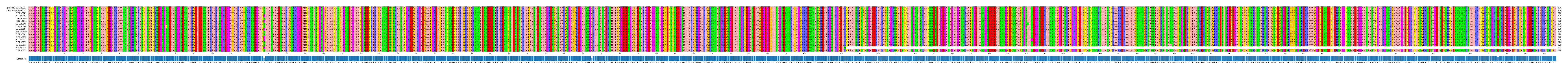Multiple Alignments (by translate haplotype frequency)