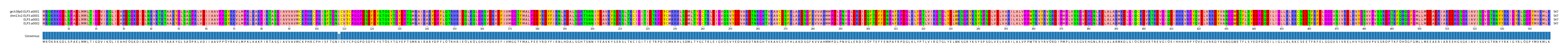 Multiple Alignments (by translate haplotype similarity)