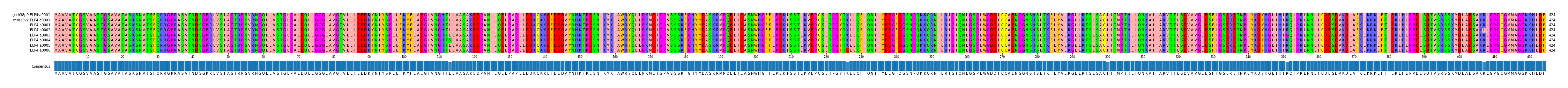 Multiple Alignments (by translate haplotype frequency)