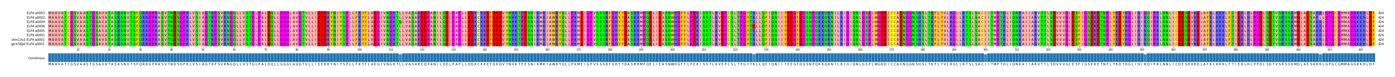 Multiple Alignments (by translate haplotype similarity)