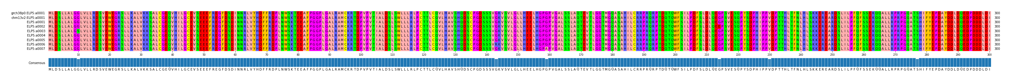 Multiple Alignments (by translate haplotype frequency)