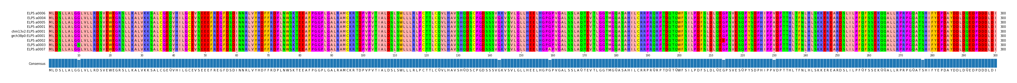 Multiple Alignments (by translate haplotype similarity)