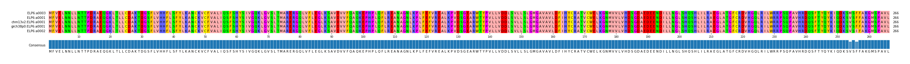 Multiple Alignments (by translate haplotype similarity)