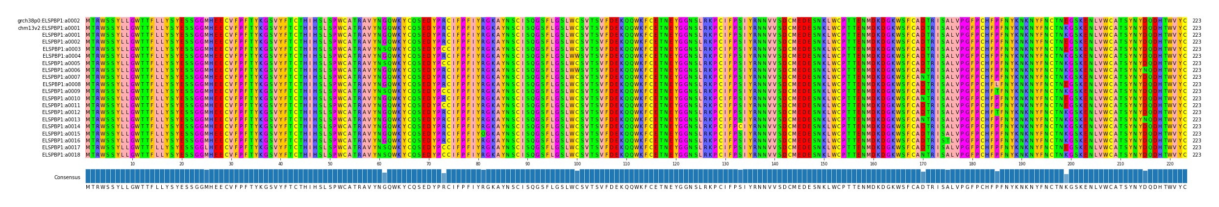 Multiple Alignments (by translate haplotype frequency)