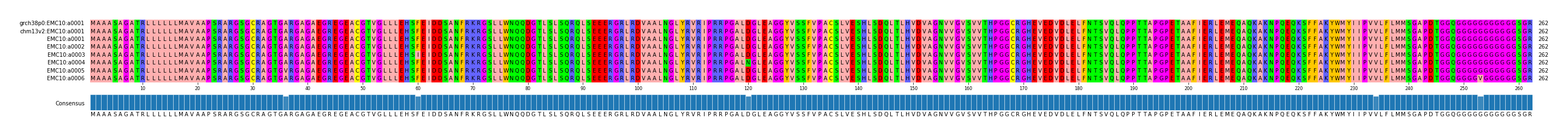 Multiple Alignments (by translate haplotype frequency)