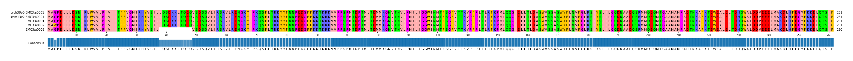 Multiple Alignments (by translate haplotype frequency)