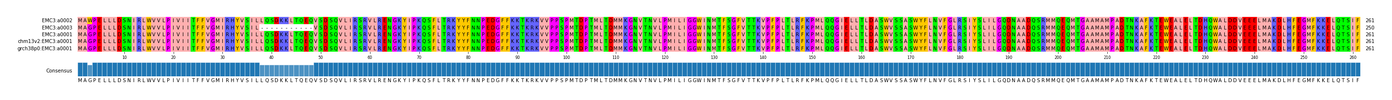Multiple Alignments (by translate haplotype similarity)