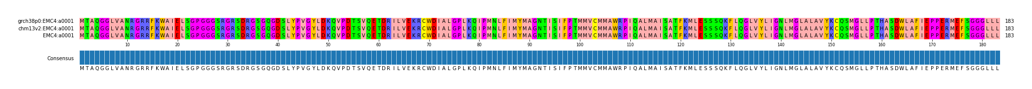 Multiple Alignments (by translate haplotype similarity)