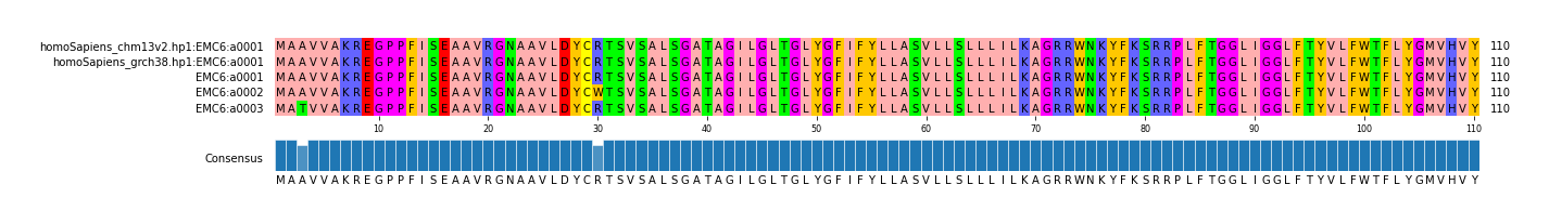 Multiple Alignments (by translate haplotype frequency)