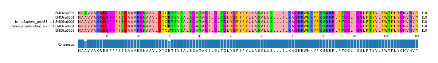 Multiple Alignments (by translate haplotype similarity)