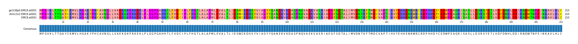 Multiple Alignments (by translate haplotype similarity)